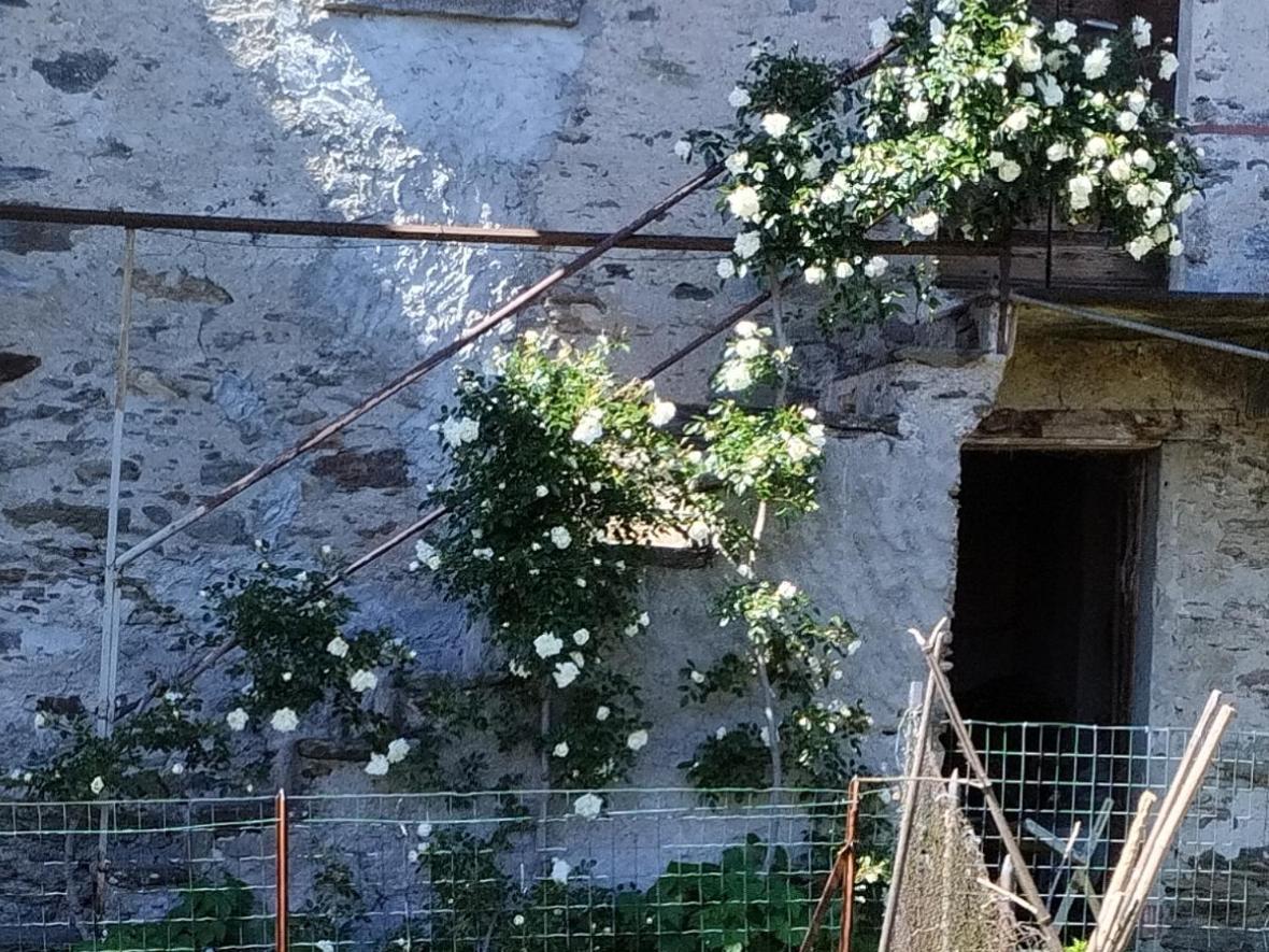 Il Forno Apartment Cossogno Exterior foto